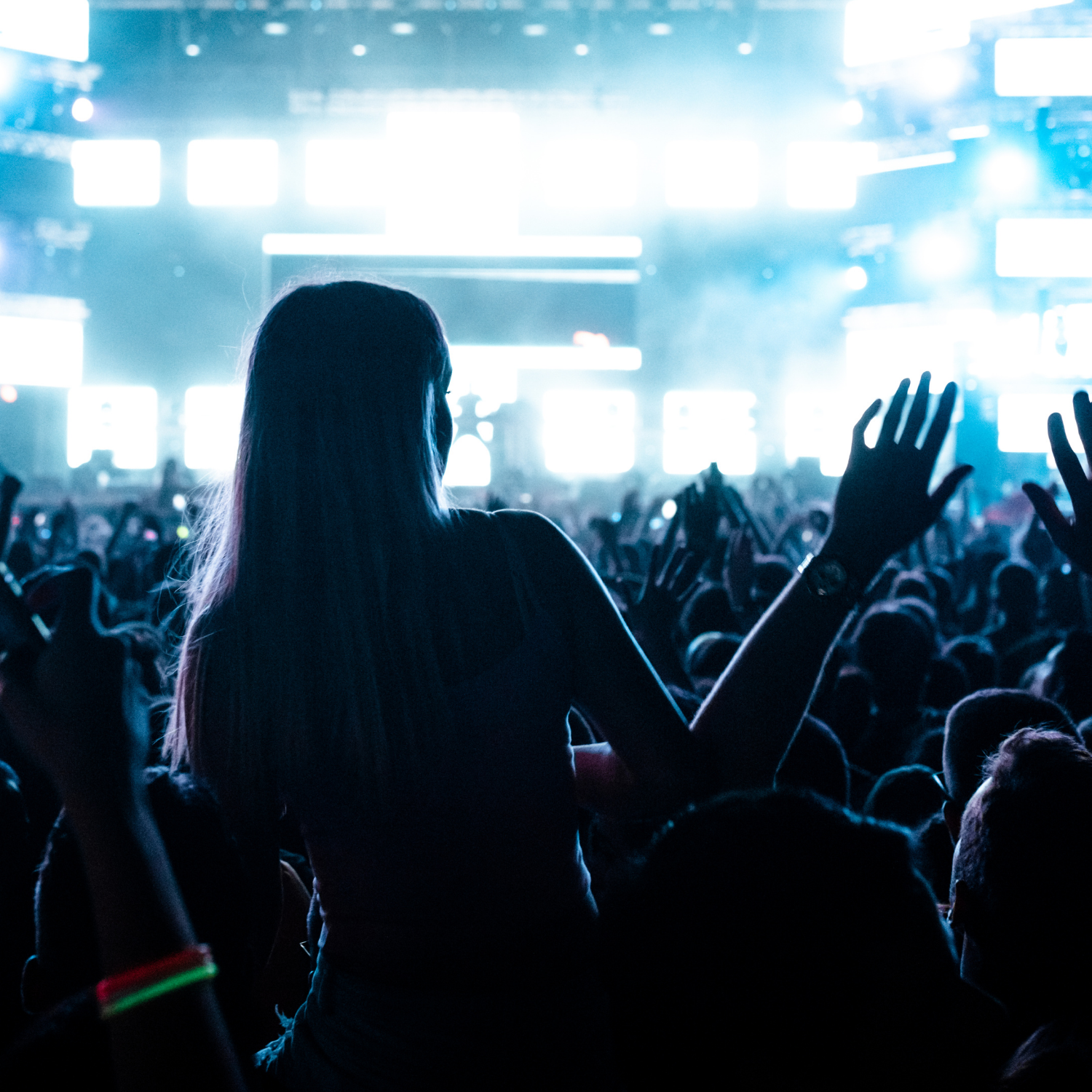 Concert and festival entertainment
